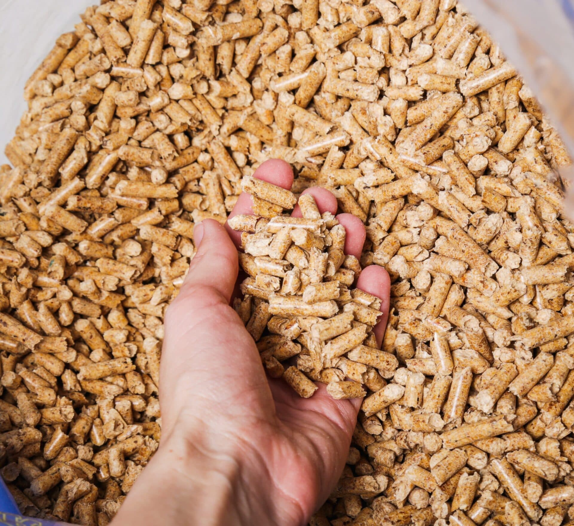 Biomass pellets